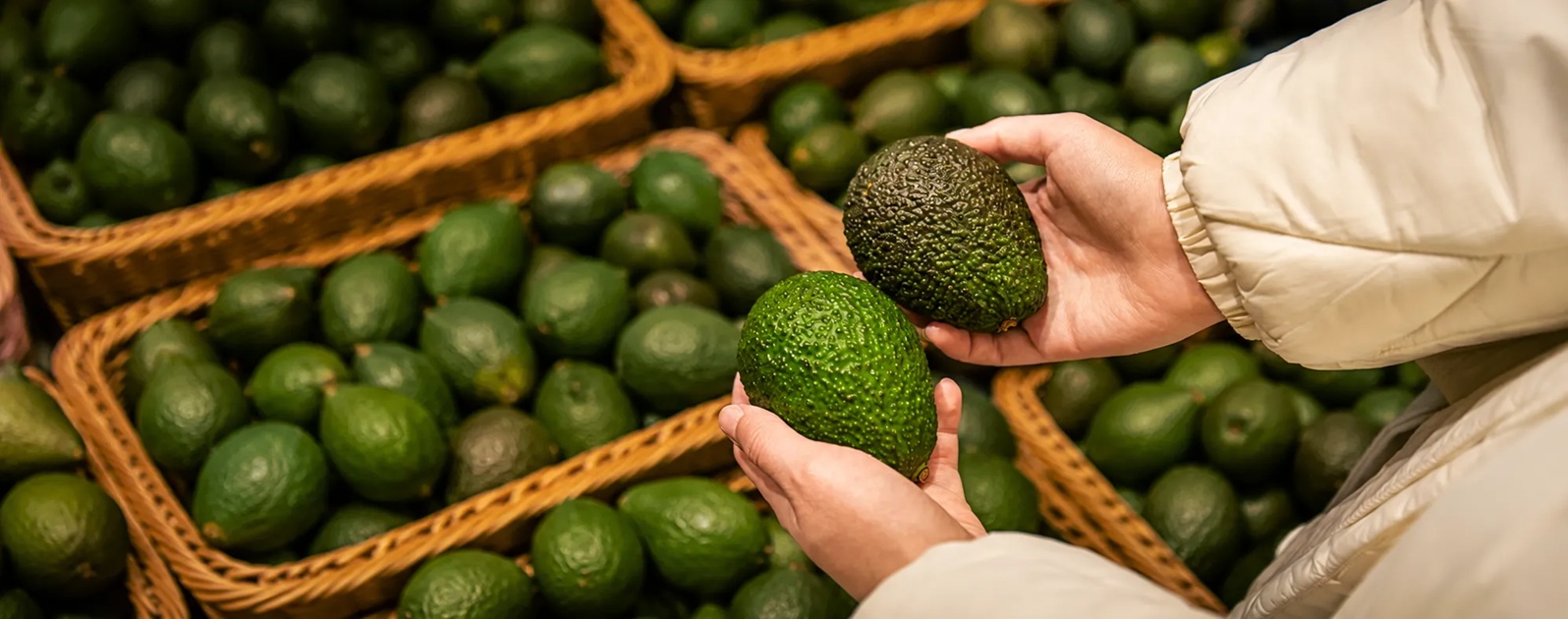 aguacate
